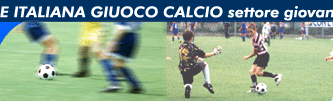 FEDERAZIONE ITALIANA GIUOCO CALCIO settore giovanile e scolastico.