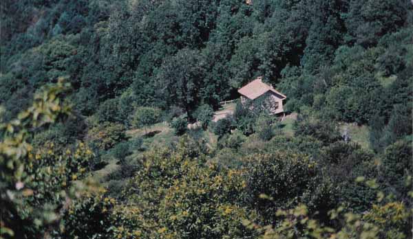 LA CASA IN BOSCO RIFUGIO PER BAMBINI E RAGAZZI