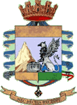Guardia di finanza