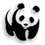 Tutto quello che sul  WWF