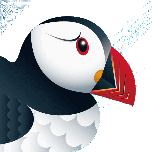 Puffin