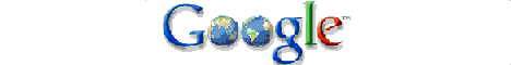 Google, il motore di ricerca pi� conosciuto al mondo.