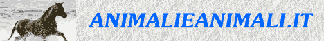 Il pi� completo portale sul mondo degli animali