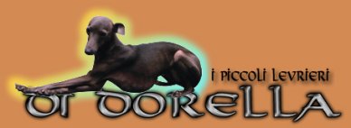 Quello che volete sapere sui levrieri
