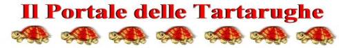 Il portale delle Tartarughe