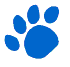 Servizi per cani e gatti