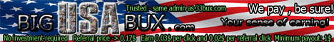 Big Usa Bux